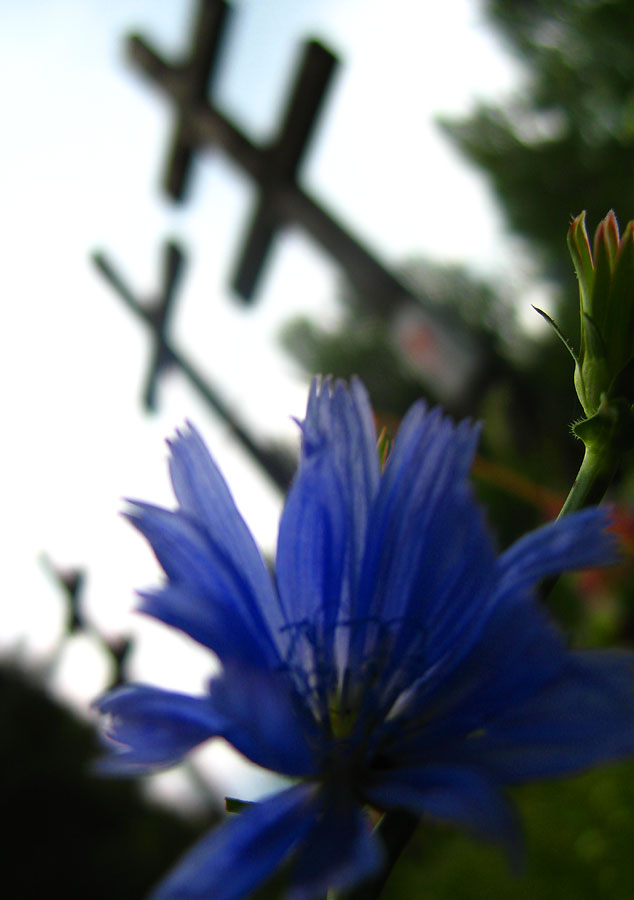 29.–30. Oktober 1937: Die Nacht der Erschossenen Dichter – Höhepunkt des sowjetischen Terrors in Belarus